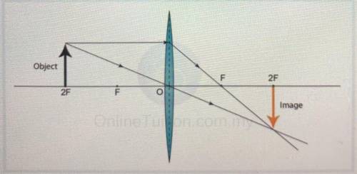 Please help with theses 2 questions.

1. What is the name of 2F?
2.Using the diagram what is the n