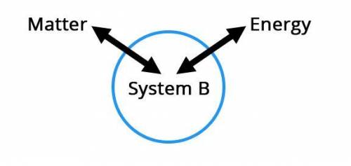 Study the image Which choice most accurately identifies the system in the image?

a cold systeman