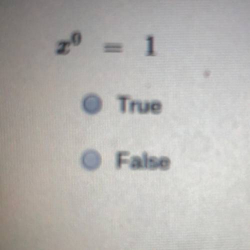 X^0= 1
Is it True or is it False?