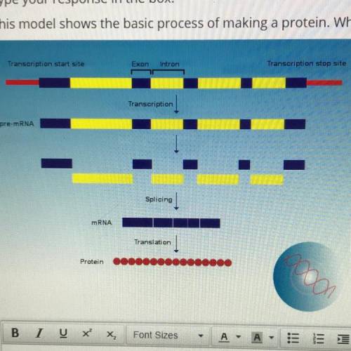 This model shows the basic process of making a protein. What are the strengths and limitations of t