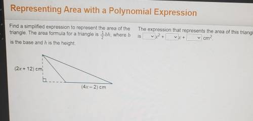 Find a simplified expression to represent the area of the The expression that represents the area o