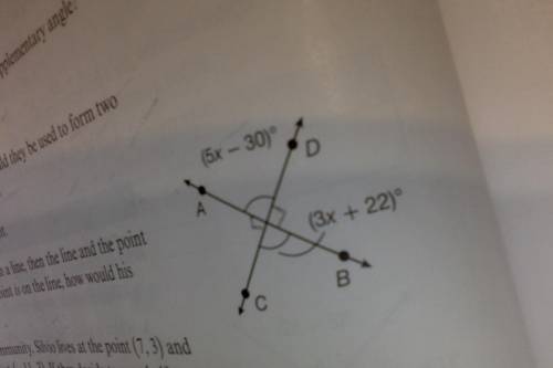 Please find the value of x in the diagram. Thank you!