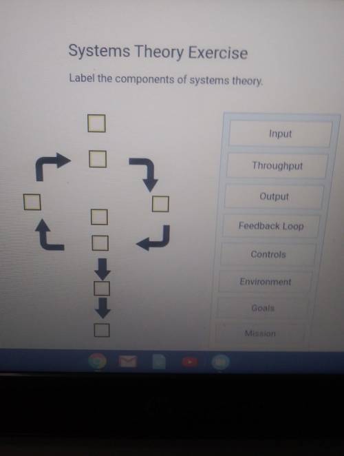 Label the components of systems theory
