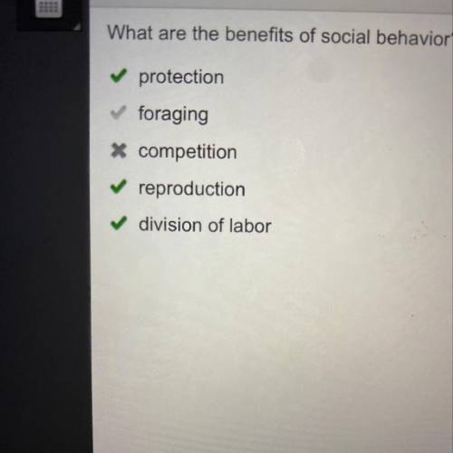 Identifying Benefits of Social Behavior

What are the benefits of social behavior? Check all that
