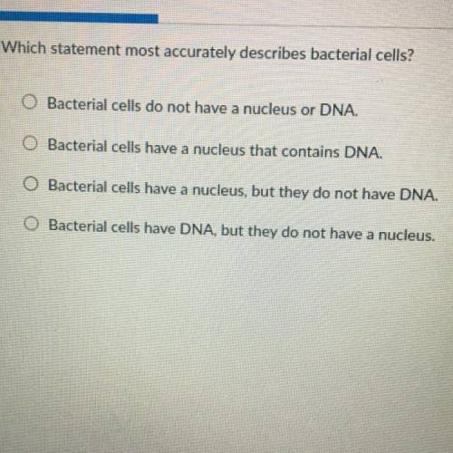Which statement most accurately describes bacterial cells?