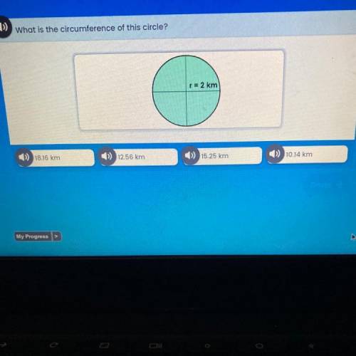 What is the circumference of this circle?