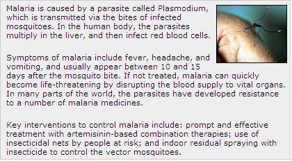 What is the main purpose of this article? a. To tell how many people die from malaria a year c. To