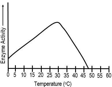 Based on the graph, at what temperature does this enzyme work best? * Captionless Image 47 C 30 C 4