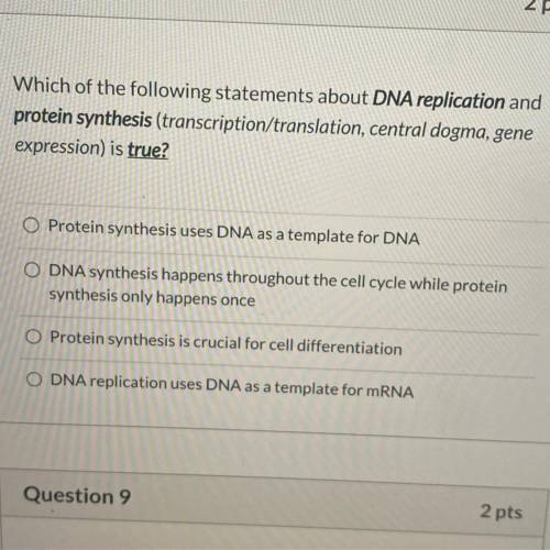 HELPPP 100pts

Which of the following statements about DNA replication and protein synthesis (tran