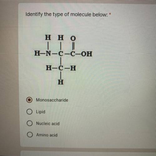 Identify the type of molecule below

1. monosaccharide
2. lipid 
3. nucleic acid
4. amino acid