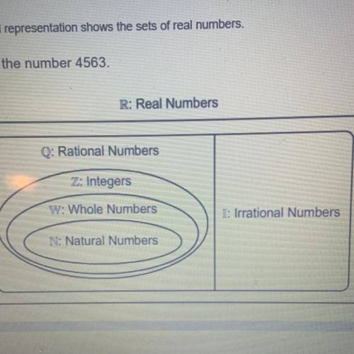 This visual representation shows the sets of real numbers.
Classify the number 4563.