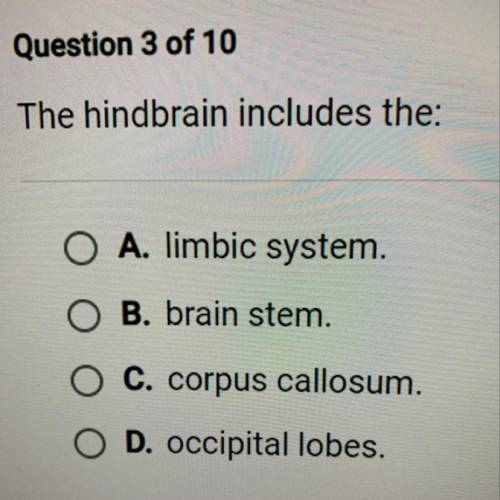 The hindbrain includes the:

A. limbic system.
B. brain stem.
C. corpus callosum.
D. occipital lob