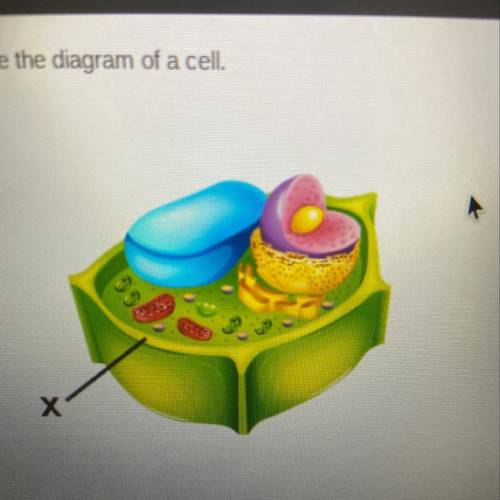 Help? Please

Examine the diagram of a cell.
Which organelle is marked with an X?
O cytoplasm
O mi