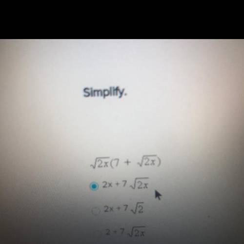 Simplify this i need help