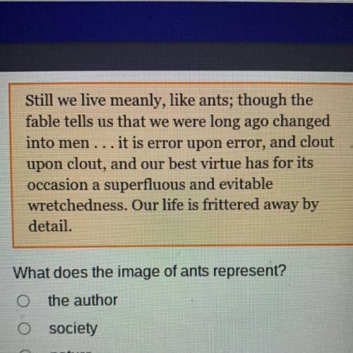 What does the image of ants represent?

the author
O society
nature
the author's friends and acqu