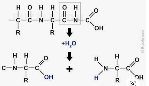 What type of reaction is shown in the diagram? hydrogenation ionization elimination hydrolysis cond