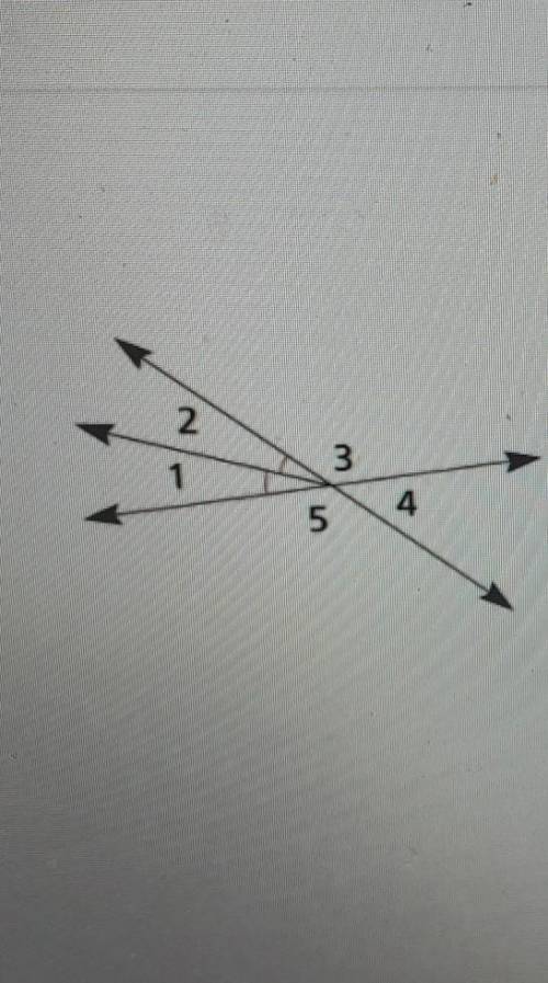 What can you conclude from the information in the diagram? *Look for congruent angles, vertical ang