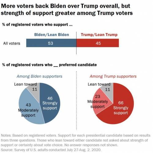 Joe Biden vs Donald Trump? Who's going to win this year election​