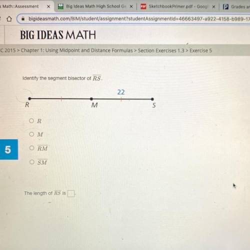 Identify the segment bisector of RS.

22
R.
M
S
OR
Ο Μ
ORM
OSM
The length of RS is