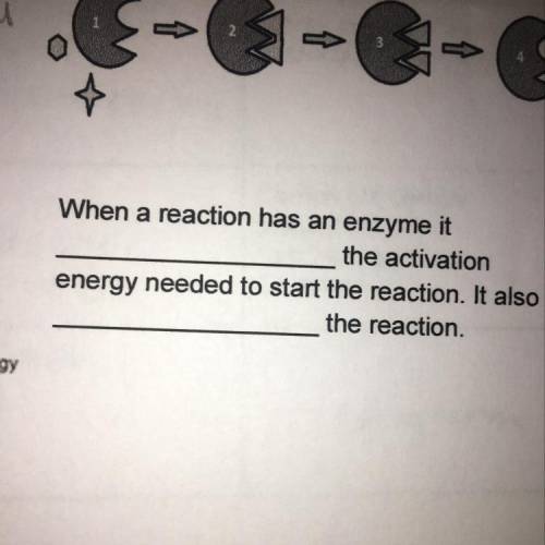 When a reaction has an enzyme it

the activation
energy needed to start the reaction. It also
the