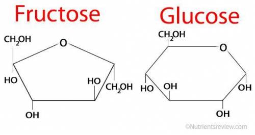 Simple sugar molecule: fructose diagram
