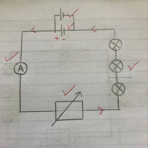 How do you know when you must add the minus and plus by the cell in an electrical circuit