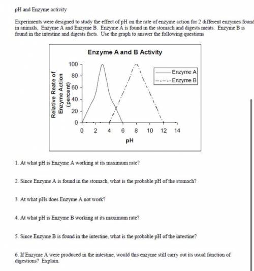 PH and enzyme activity questions please help
