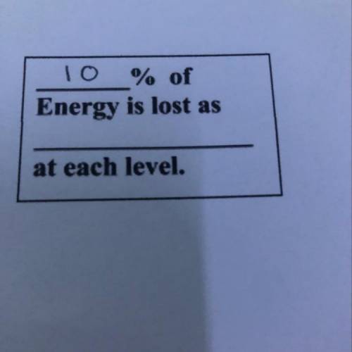 PLZ HELP WILL BRAINLIST- 
10% of energy is lost as _________ at each level