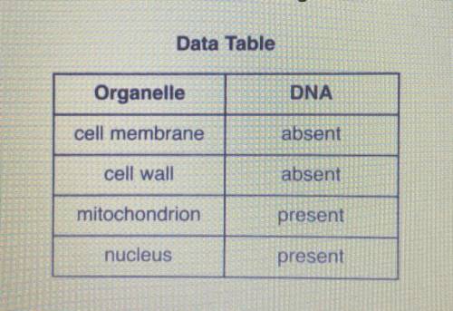 (20points)

The data table below shows the presence or absence of DNA in four different cell organ