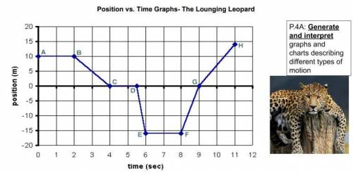 What is the displacement of the leopard at t = 11 seconds? Please include a number and unit.