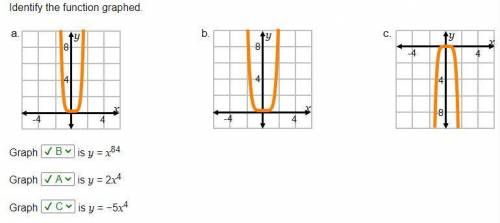 Identify the function graphed. 
Graph is y = x84 
Graph is y = 2x4 
Graph is y = −5x4