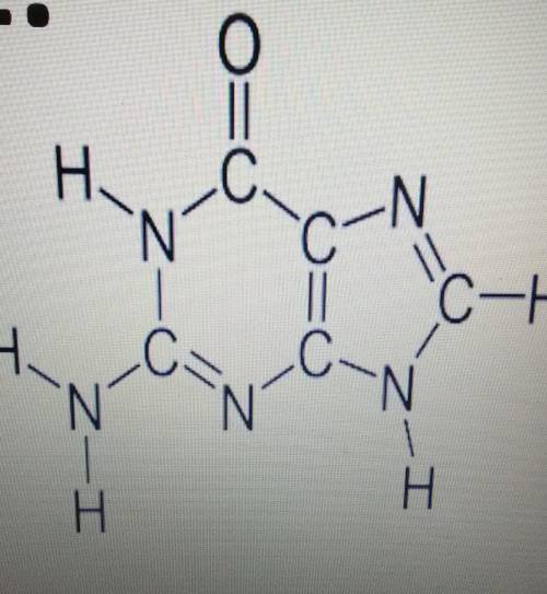 What compound is this?Carbohydrates LipidsNucleic Acids Proteins