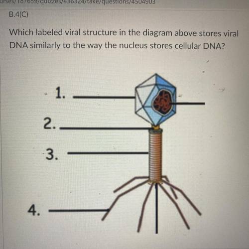 Biology 9th grade question