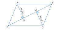 In parallelogram ABCD, DB =28 cm. AN and CM are perpendicular to BD. AN = CM =10 cm. Find the area