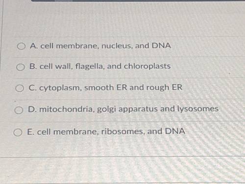 Which of the following structures would be used to identify a prokaryotic cell?
