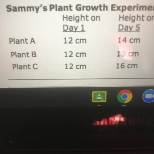 Sammy wants to see if plants really do grow better in sunlight . He uses 3 plants of the same type
