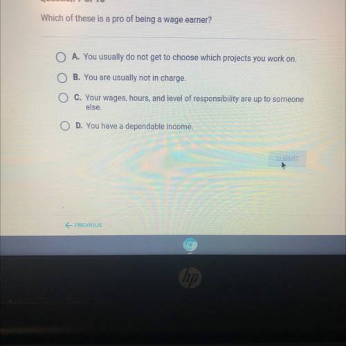 Which of these is a pro of being a wage earner?

A. You usually do not get to choose which project