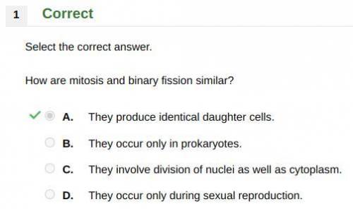 How are mitosis and binary fission similar?

A. They produce identical daughter cells.
B. They occ