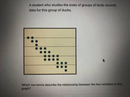 A student who studies the sizes of groups of birds records data for this group of ducks.