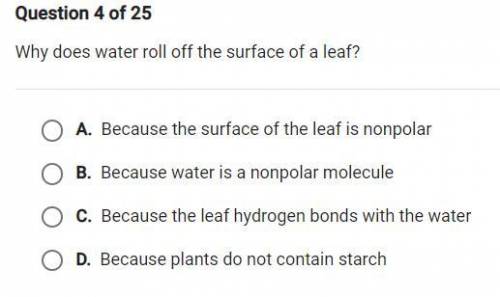 Why does water roll off the surface of a leaf?
