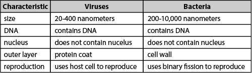 The table below compares viruses and bacteria.

Antibiotics are used to treat bacterial infections