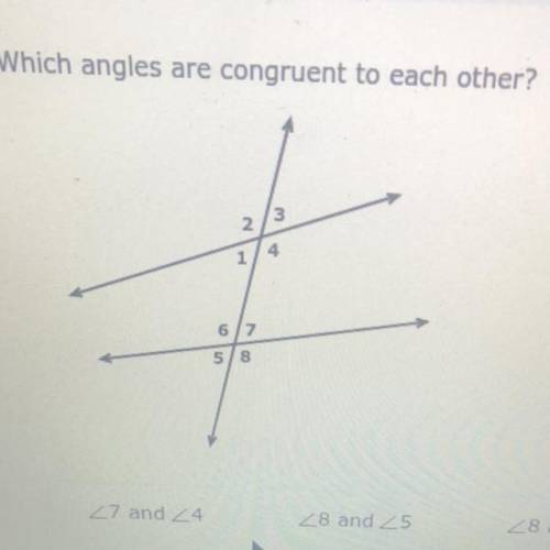 Which angles are congruent to each other?