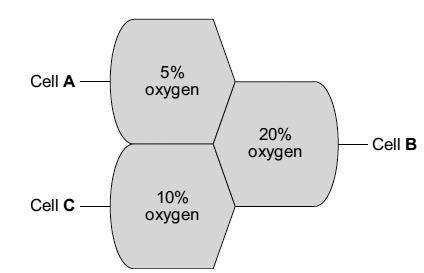 The image below shows the percentage concentration of oxygen in three cells, A, B and C. Oxygen can