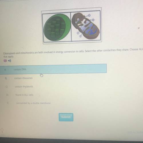 Chloroplasts and mitochondria are both involved in energy conversion in cells.Select the other simi