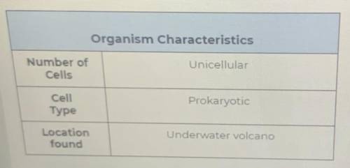Based on the information provided. In which domain would the organism be classified?

Protista
Euk