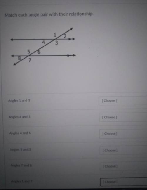 help me... the angle pairs.. for example linear pair, vertical angles... that stuff.... I said that