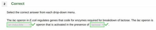 The lac operon in E.coli regulates genes that code for enzymes required for breakdown of lactose. T