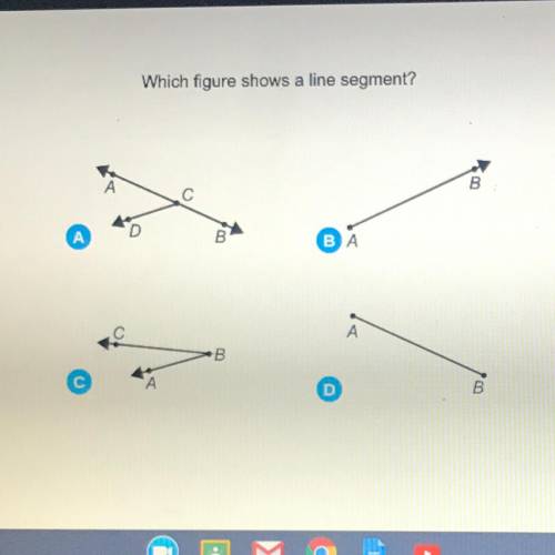 Which figure shows a line segment?