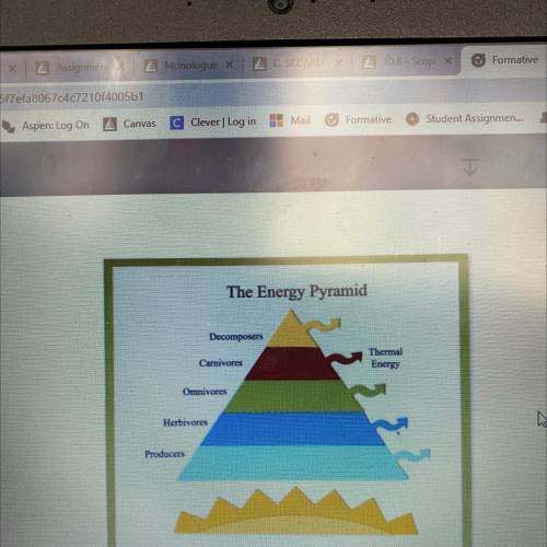 In this energy pyramid the producers have 90548 Kcal

of energy. What is the best estimate of the