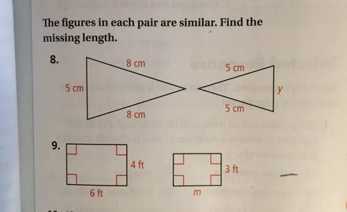 PLEASE HELP HELP. I don’t get the 8 and 9